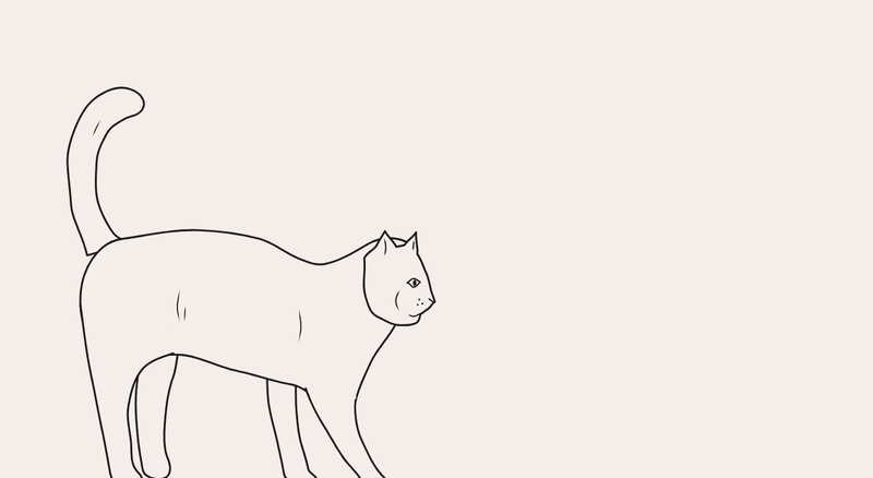 A line-drawn cat crouches, jumps forward, lands, then walks to the right on four legs.